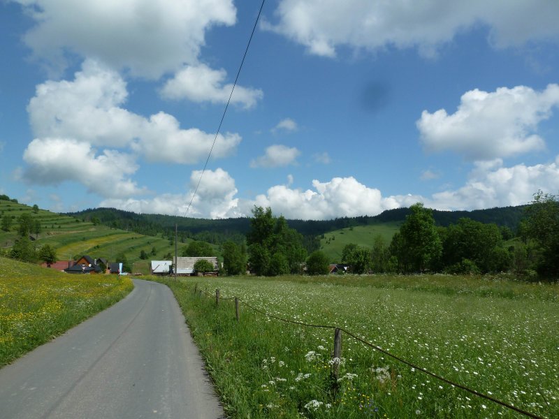 2013